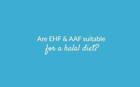 Are EHFs and AAFs suitable for a halal diet?