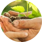 An eye on a sustainable future