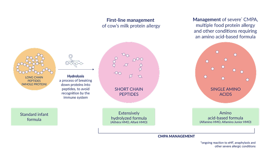 The Development of Hypoallergenic Formulas