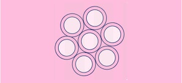 Multiple Food Protein Allergies